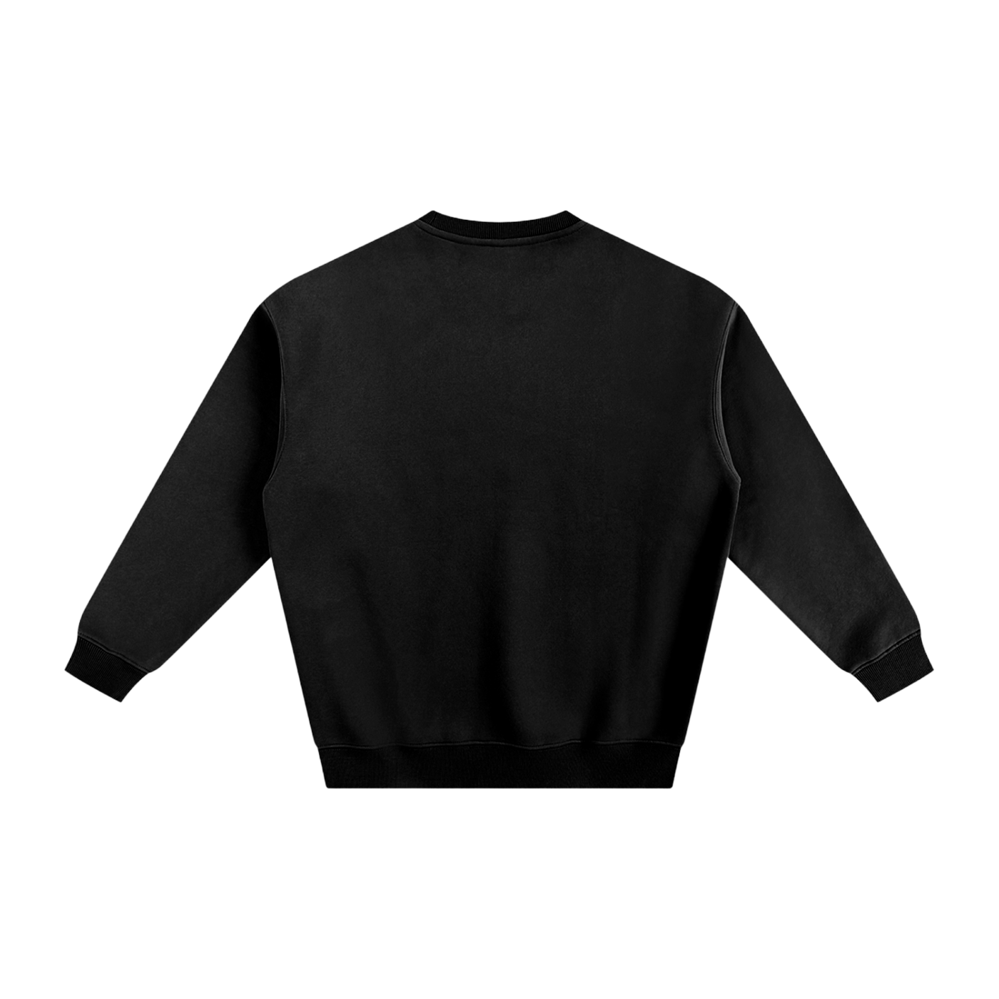 Display Logo Fleeced Sweatshirt