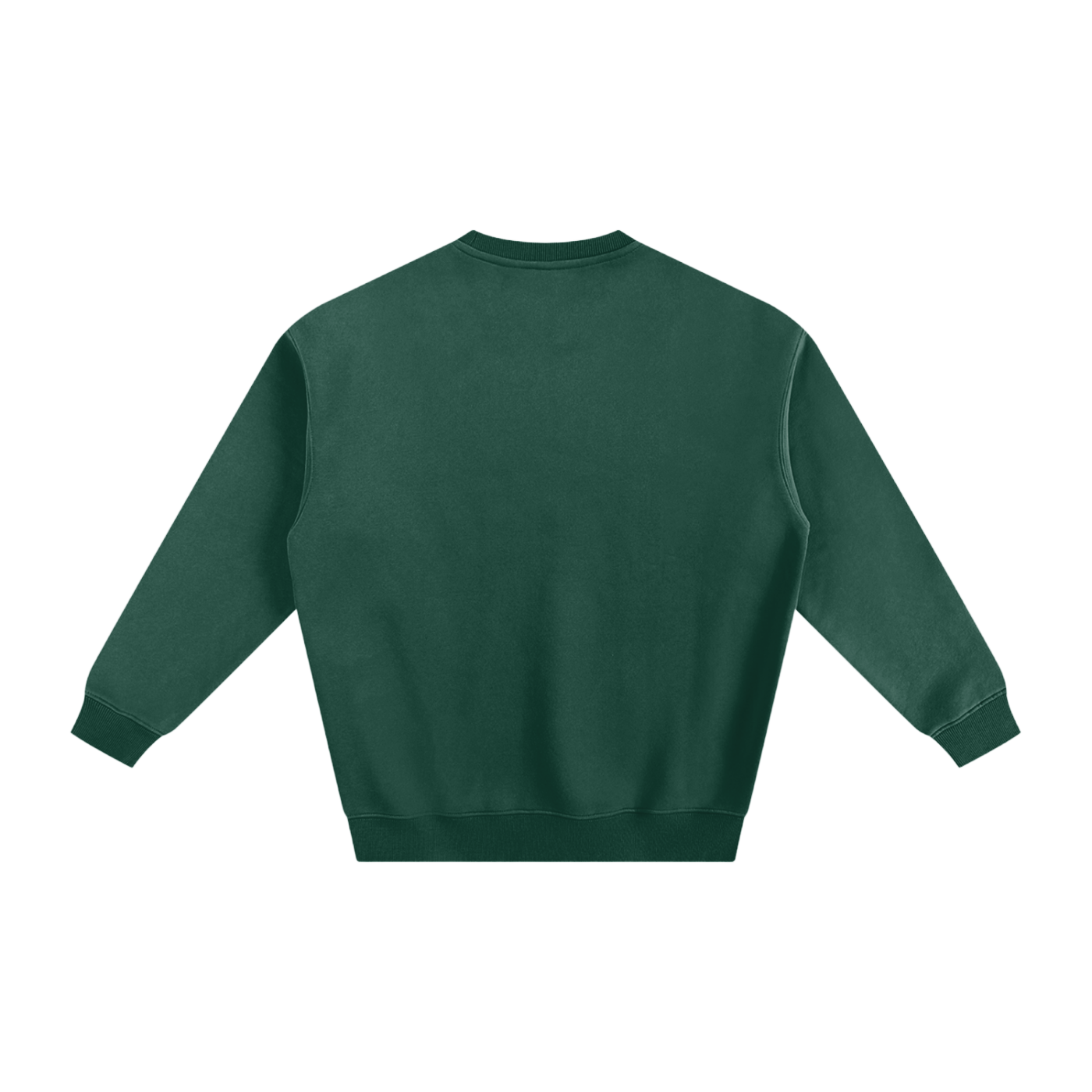 Display Logo Fleeced Sweatshirt