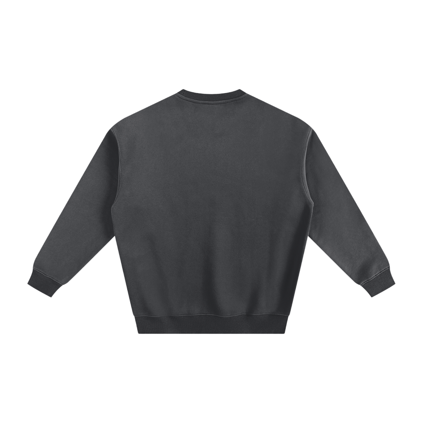 Display Logo Fleeced Sweatshirt